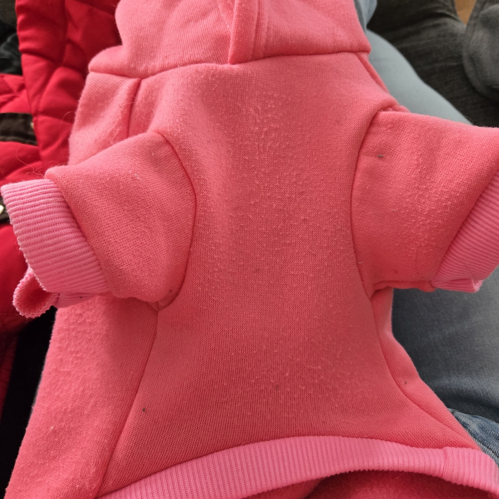 Pink Hooded Dog Sweater